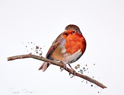 Winter Songster II by Sarah Stokes - Original Painting on Paper sized 19x15 inches. Available from Whitewall Galleries