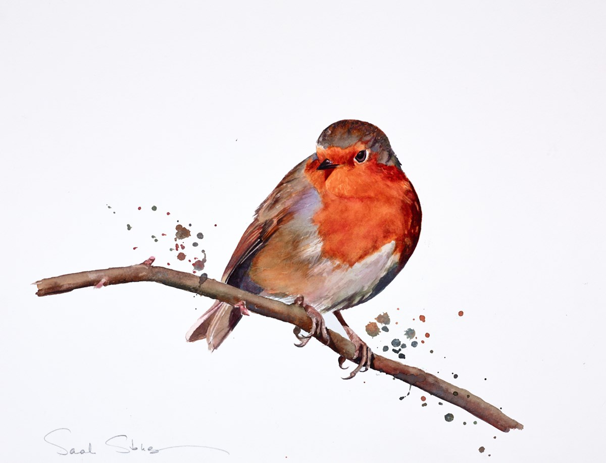 Winter Songster II